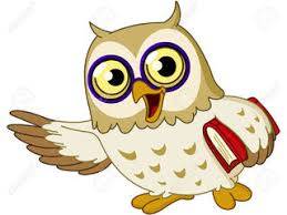 owl.jpg owl.jpg